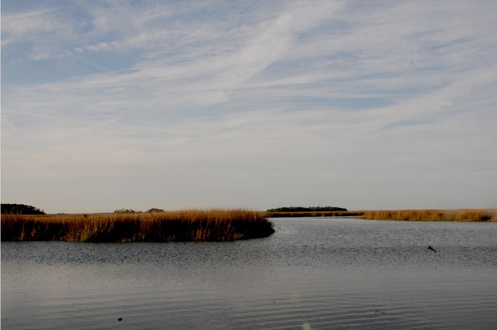 Sapelo Island is isolated © 2015 Karen Rubin/news-photos-features.com