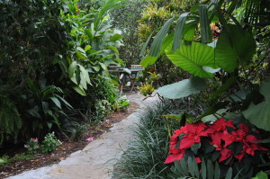 Meandering paths take you through lush gardens at Crane's Beachhouse © 2015 Karen Rubin/news-photos-features.com