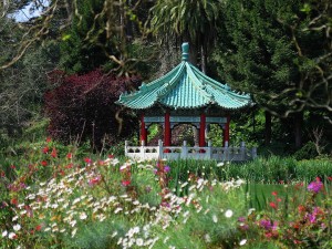 The Gold Gate Pavilion on Stow Lake opened in 1981.© 2015 Karen Rubin/news-photos-features.com