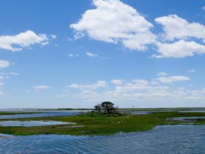 Gorgeous views abound along the Shining Sea Trail on Cape Cod © 2016 Karen Rubin/news-photos-features.com