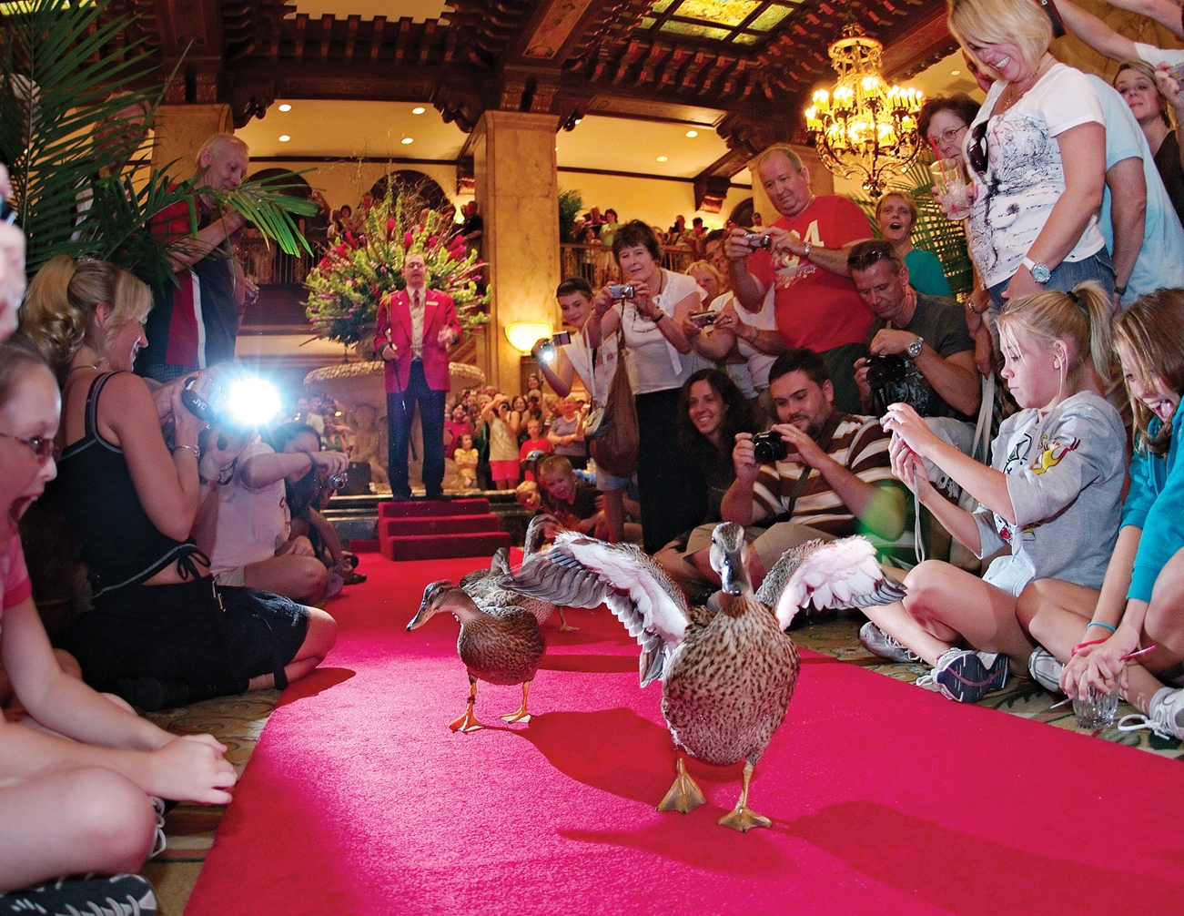 The famous duck walk at The Peabody Memphis. Doug Browne of The Peabody Memphis (1869) Memphis, Tennessee was honored as the 2016 Historic Hotelier of the Year.