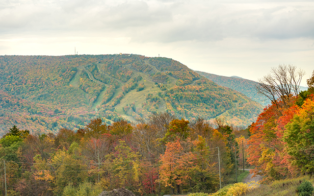 Halloween Happenings, Oktoberfest Take Center Stage in Fall Festivals ...