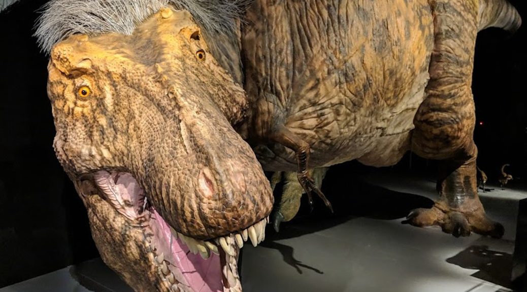 Tyrannosaurus rex was a sensitive lover, new dinosaur discovery