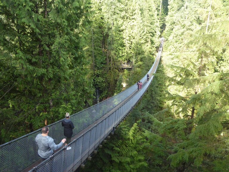 Capilano Suspension Bridge Among Vancouver BC’s Marvelous Attractions ...