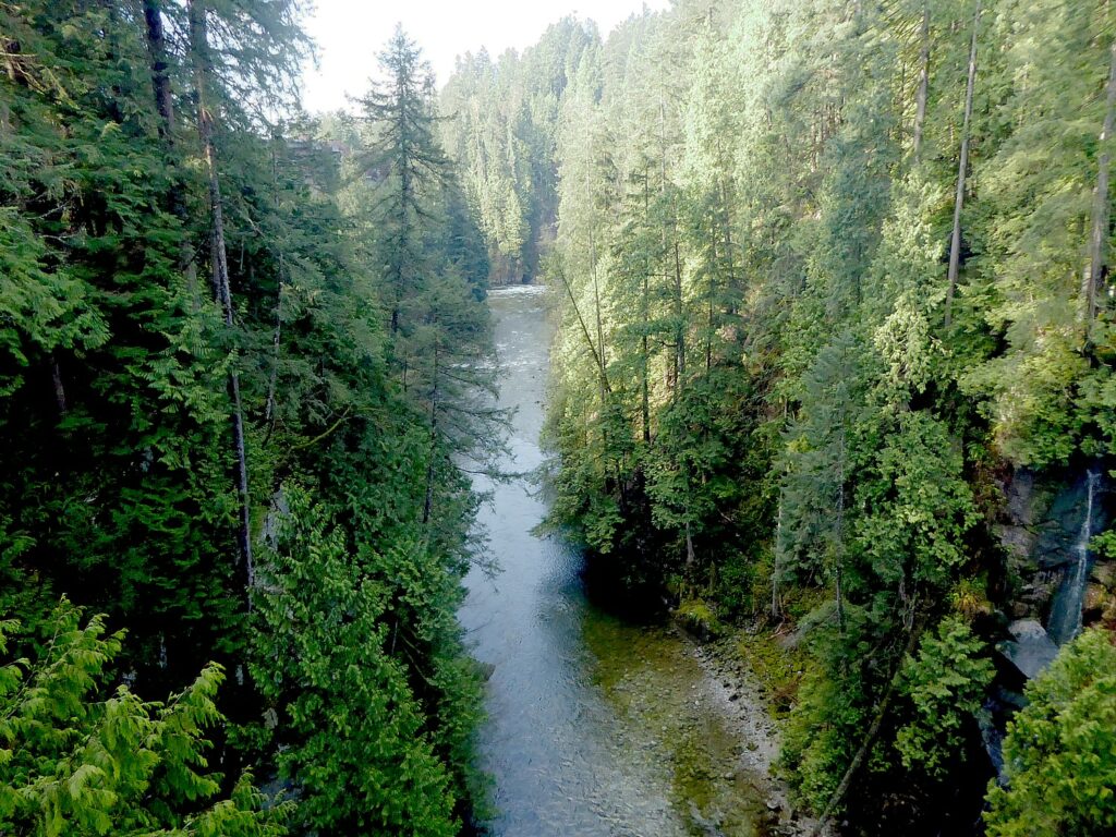 Capilano Suspension Bridge Among Vancouver BC's Marvelous Attractions,  First Leg of Global Scavenger Hunt