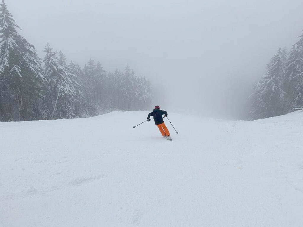 The Colorful History of Skiing's Most Eccentric Means of Downhill Travel