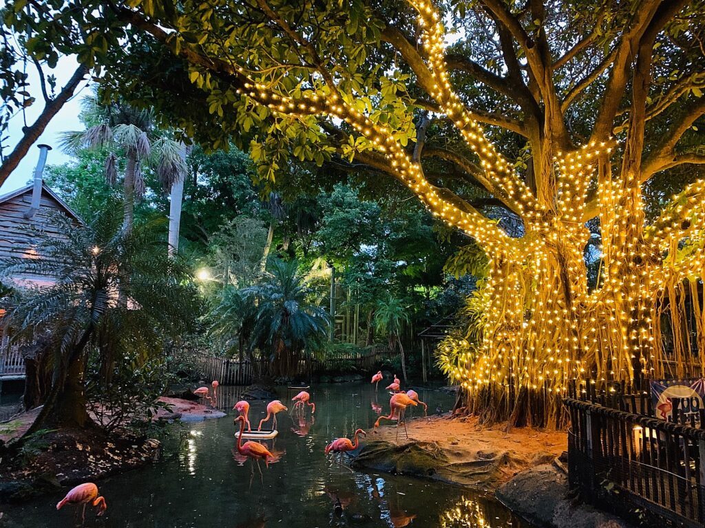 https://goingplacesfarandnear.com/wp-content/uploads/2020/12/Palm-Beach-Zoo-xmas-lights-e2-1024x768.jpg