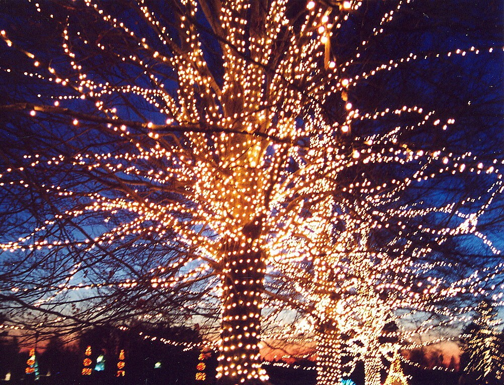 Tennessee Titans Christmas tree!  Xmas theme, Christmas time, Christmas