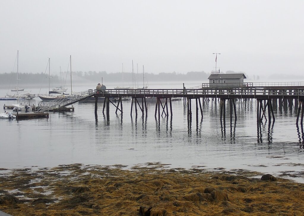 Kayaker dies near Rosebud Pier