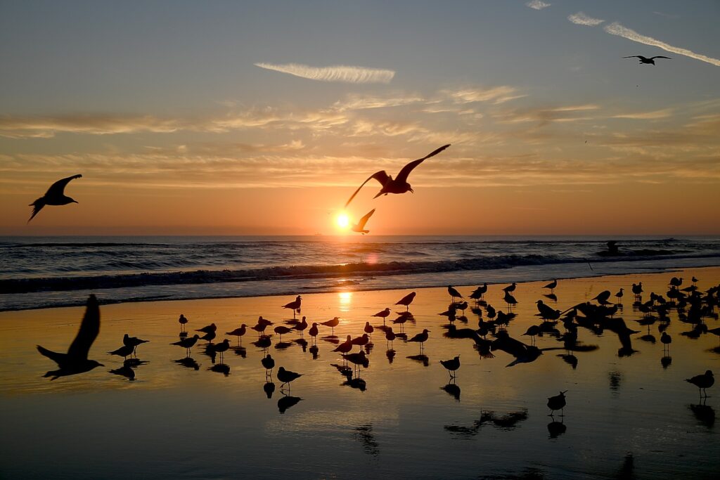 File:Sunrise in Wildwood New Jersey with Atlantic Ocean looking  northeast.jpg - Wikipedia