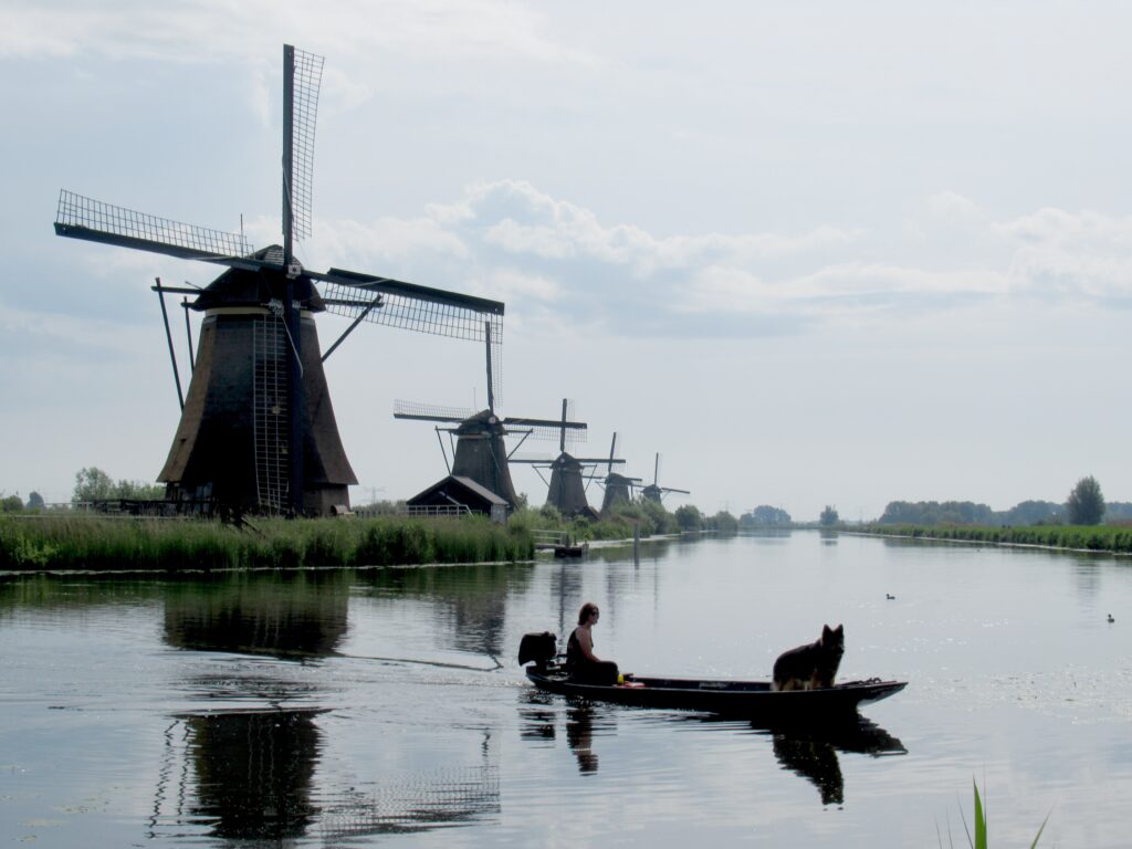 Windmill Buffalo Check Tea Towels - Danish Windmill