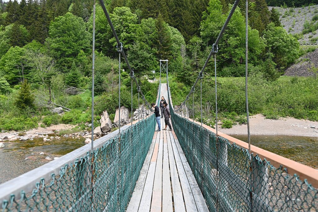 Gran río de salmones en el Fundy Trail Parkway de Nueva Brunswick