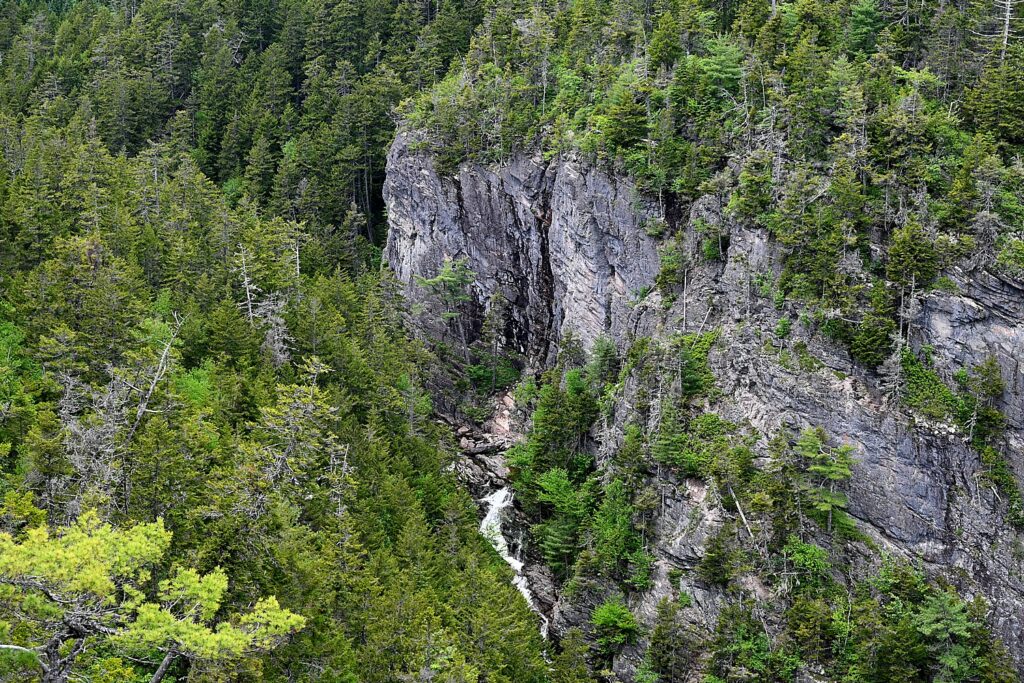 Gran río de salmones en el Fundy Trail Parkway de Nueva Brunswick