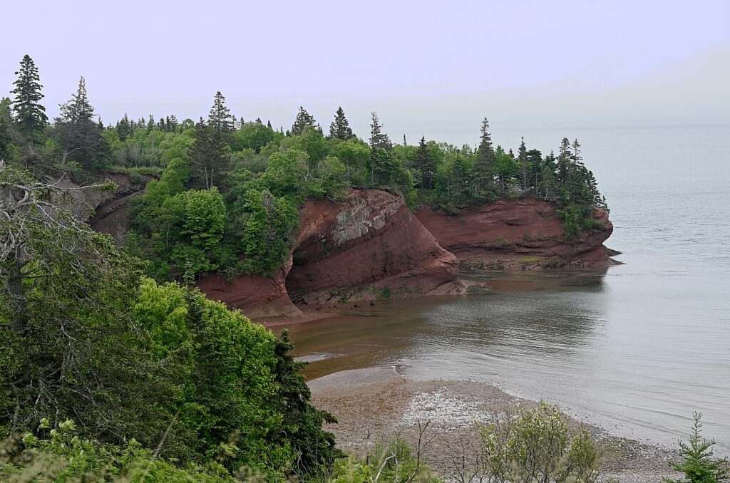 Gran río de salmones en el Fundy Trail Parkway de Nueva Brunswick