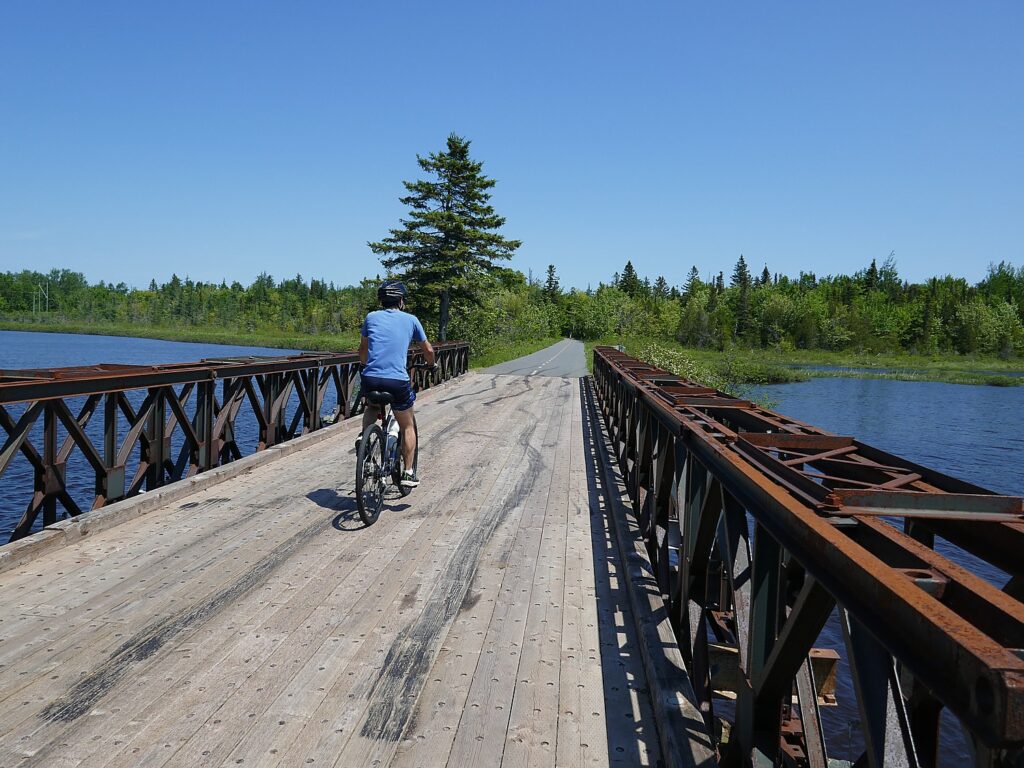 Exploring the 2025 Five Boro Bike Tour Map for an Epic Cycling Adventure