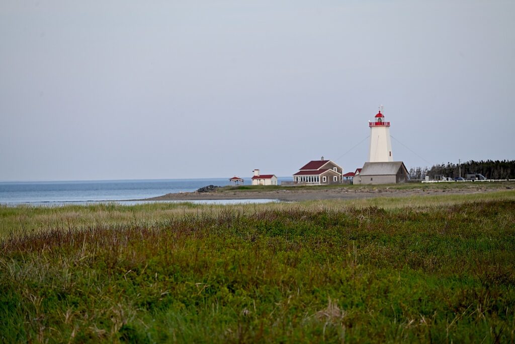 Puffin Stuff: Herring Rules Could Benefit Maine's Most Beloved