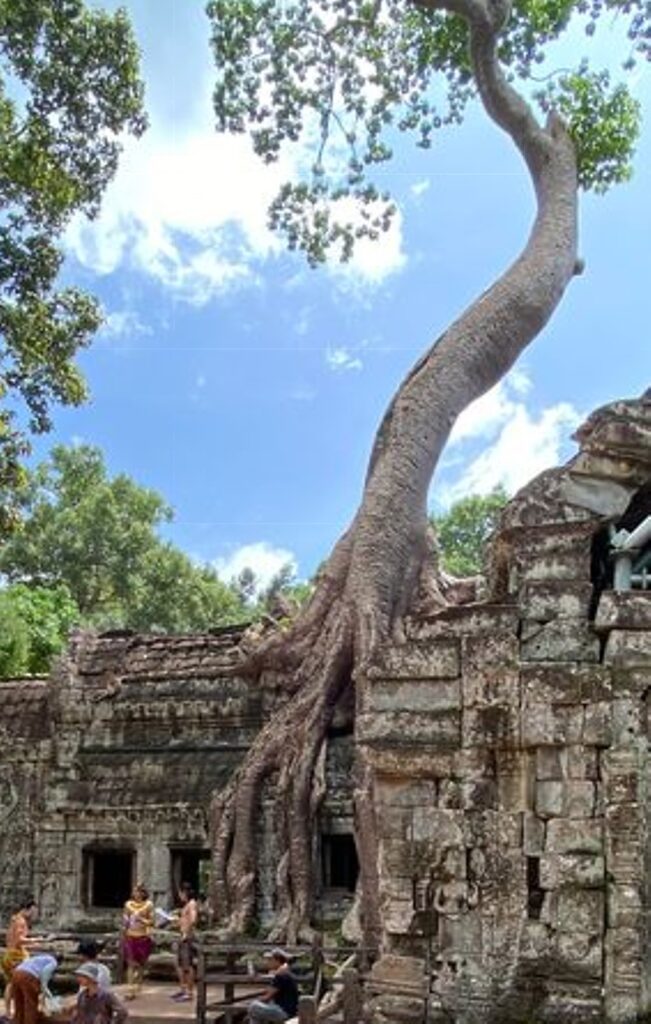 Cambodia11e2 8cgMau9Q c Geri Bain Ta Phrom Temple