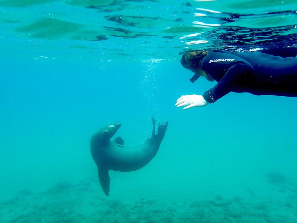 SA Galapagos O 082422 914e2 c Karen Rubin